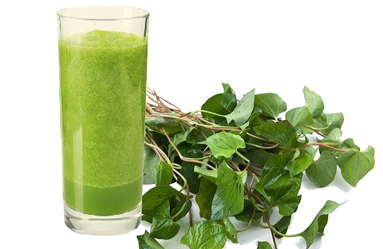 Lá diếp cá trị mụn nhỏ li ti