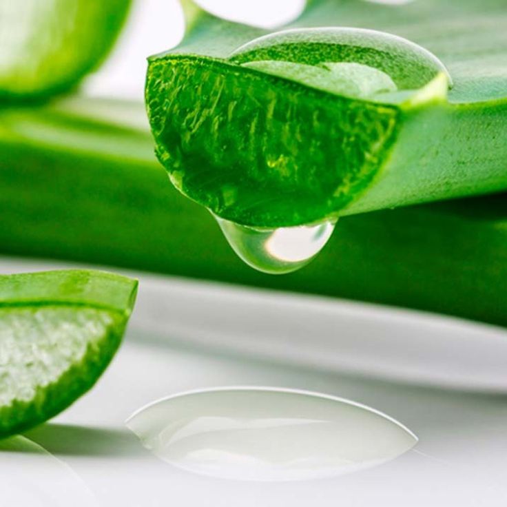 Gel nha đam trị mụn nước
